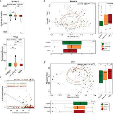 Alterations, Interactions, and Diagnostic Potential of Gut Bacteria and Viruses in Colorectal Cancer